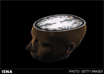 ترسیم نقشه توپوگرافی حس ششم در مغز 1