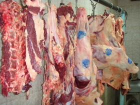 تشخیص گوشت گوسفندی با شناسنامه‌های جدید