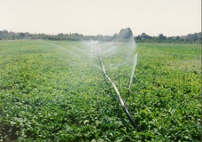 اجرای آبیاری تحت‌فشار در 120هکتار از مزارع و باغ‌های میامی