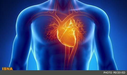 بررسی پروژه ملی ارائه خدمات سلامت برای جلوگیری از بیماریهای قلبی در جمعیت محروم