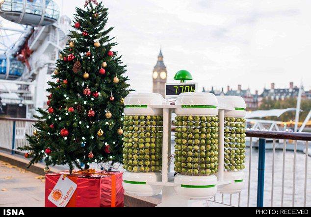 روشن کردن درخت کریسمس با باتری گیاهی ساخته شده از کلم! 1