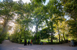 35-133.jpg