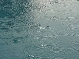 طرح جمع‌آوری آب باران در کمیسیون کشاورزی رد شد