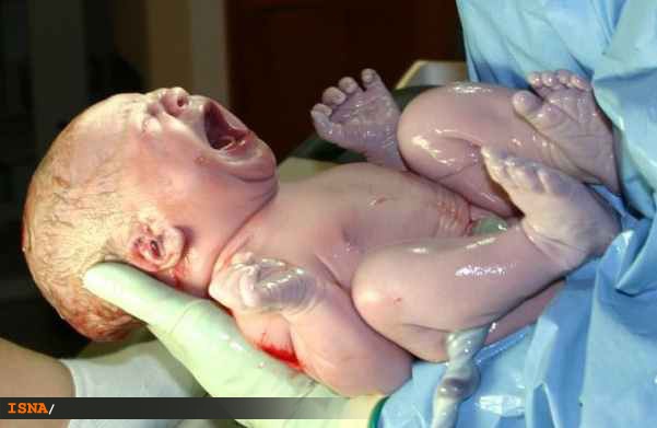 نخستین نوزاد حاصل از لقاح آزمایشگاهی در ایران، مادر شد
