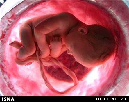 دستاورد جنجال‌برانگیز دانشمندان در اصلاح ژنتیکی جنین انسان