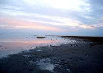 ساحل