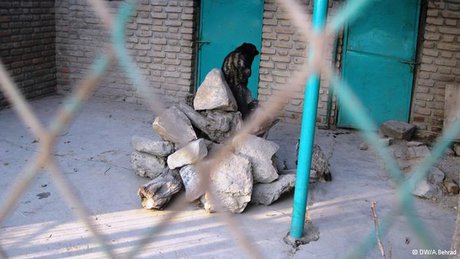  تنها باغ‌وحش افغانستان