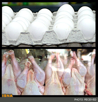 امسال فقط 50 هزار تن مرغ و تخم‌مرغ صادر شده است