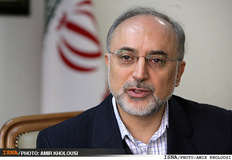 حضور رییس سازمان انرژی اتمی در راهپیمایی تهران