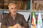 605-1.JPG
