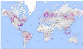 نظارت آنلاین بر جنگل‌زدایی در جهان با نقشه جدید دانشمندان