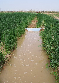 احیای قنوات و احداث کانال‌های کشاورزی عمده مشکل روستاییان
