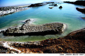 آرتمیا از اعتبارات احیای دریاچه ارومیه بی‌نصیب مانده است