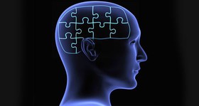 کشف جایگاه‌های متفاوت اسامی و افعال در مغز