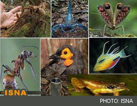 شناسایی 200 گونه جانوری در کهگیلویه و بویراحمد