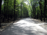 9-354.jpg