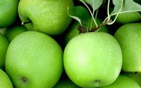 تولید و صادرات سیب رکورد زد