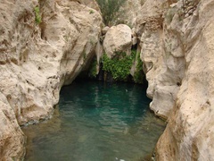  	چشمه‌ی آب معدنی «چانف» نیکشهر دوایی برای دفع سنگ‌های کلیه
