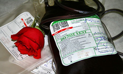 شاخص اهداء خون در سیستان‌وبلوچستان 28 در هزار است