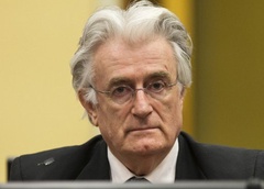 حبس ابد در انتظار رهبر سابق صرب‌های بوسنی