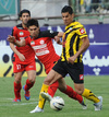 ARJ_4881.jpg