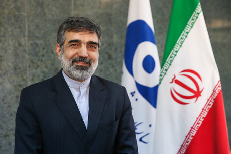 بهروز کمالوندی سخنگوی سازمان انرژی اتمی در حاشیه‌ی قرائت بیانیه مشترک ایران و  آژانس