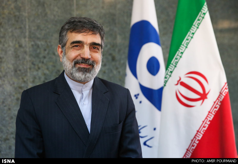 تفاهم ایران و آژانس بر زمانبندی مشخص برای پایان دادن به موضوعات مطرح از گذشته