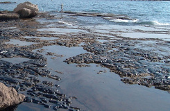حذف آلودگی‌های نفتی از سطح دریا با نانواسفنج سلولزی