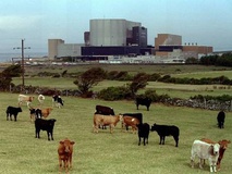 بسیاری از مردم انگلیس از انرژی هسته‌ای حمایت می‌کنند