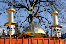 M Foghani (679).JPG