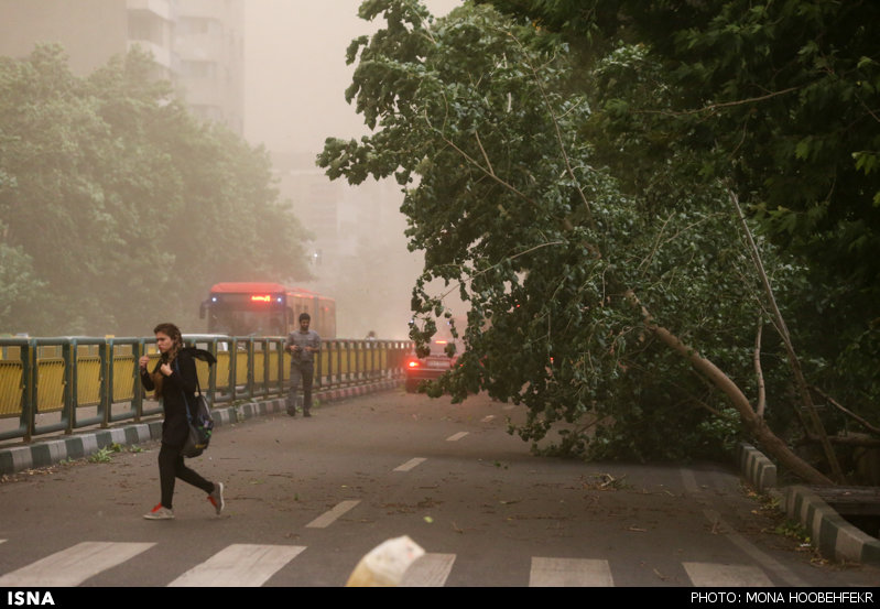  عکس های جدید از تلفات طوفان در تهران