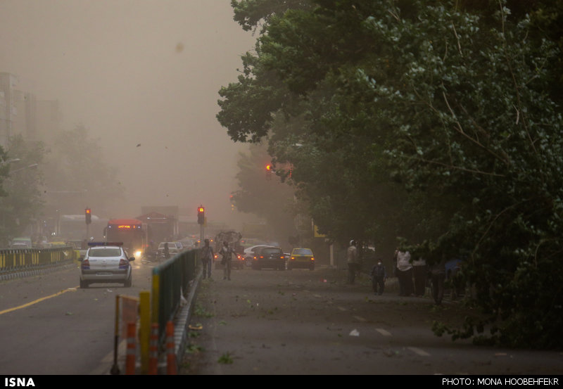  عکس های جدید از تلفات طوفان در تهران