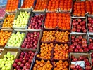 Multimedia_pics_1386_9_cities_216.jpg