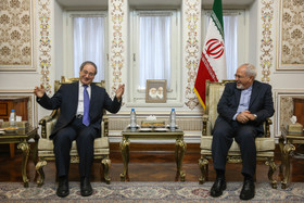 ظریف از مانع‌تراشی‌ غرب برای حضور ایران در "ژنو 2" انتقاد کرد