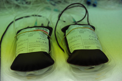 رشد 5 درصدی اهدای خون در سیستان و بلوچستان