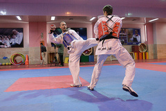 تمرین تیم ملی تکواندو _RFI5332-1.jpg