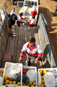 adel-azizi (3 of 36).jpg