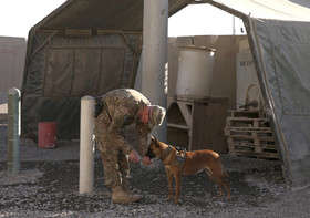 سگ ارتش آمریکا به چنگ طالبان افتاد!