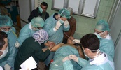 alalam_634995443945947875_25f_4x3.jpg