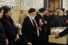 ali-abdollahi (6 of 15)-1.jpg