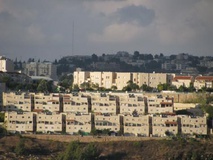مصادره 200 هکتار از اراضی فلسطینی‌ها در کرانه باختری