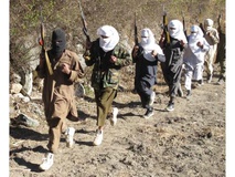 ملازهی: به گمان برخی قومیت‌های افغان، توافقنامه امنیتی از قدرت طالبان می‌کاهد