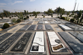 amin khosroshahi-22-29.JPG