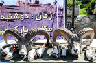 arash khamooshi-1-52.jpg