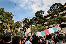 arash khamooshi-32-3.jpg