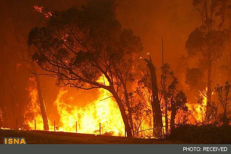 افزایش آتش‌سوزی‌ها در جنگل‌های استوایی آمازون