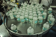 تولید انبوه واکسن «ایدز مرغی» در کشور 