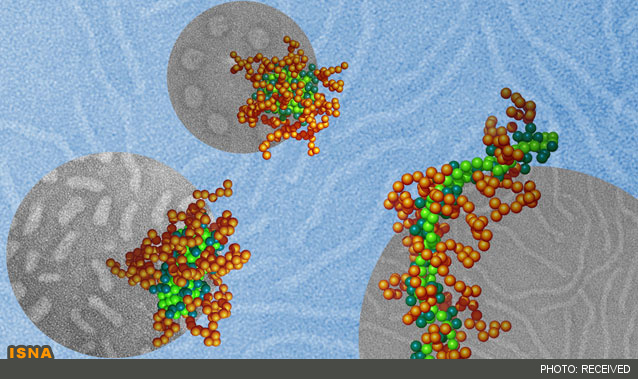 نانوحاملی برای وارد کردن ابزار اصلاح‌گر ژن به درون سلول