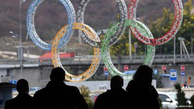 سه میلیارد نفر افتتاحیه المپیک سوچی را تماشا کردند
