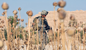 هشدار بازرس آمریکایی نسبت به تبدیل افغانستان به کشوری با "جرایم مواد مخدر"